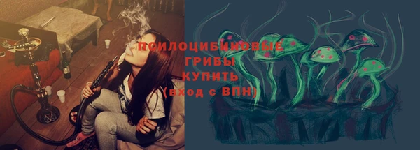 мет Козловка