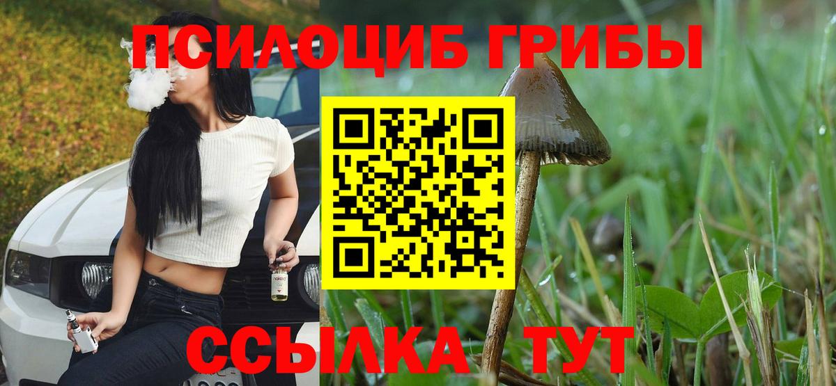 Галлюциногенные грибы Magic Shrooms  Вход с VPN  Бийск 